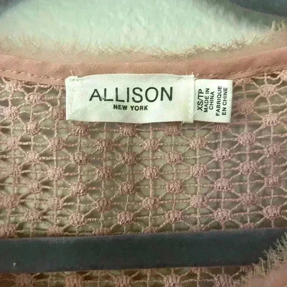 Allison Crochet Like Ruffle Pullover Top Size XS Blush Coquette Sheer Girlhood - Picture 8 of 13